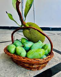 Mango & Jackfruit Products